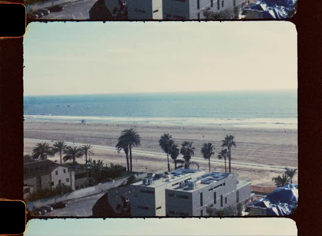 Coastal town with a beach palm trees and buildings