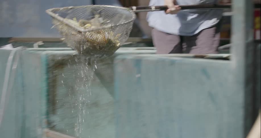 A man dumps some crabs into a barrel below