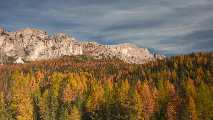 White clouds move over a dense forest and mountain range in autumn