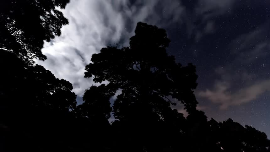 The clouds move over the starry sky