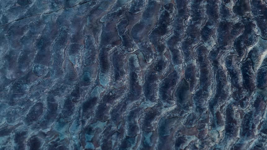 A rocky floor with fissures is shiny and then a shadow darkens the place