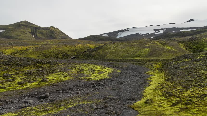 Snowy mountains tower over hilly plain covered in yellow lichen
