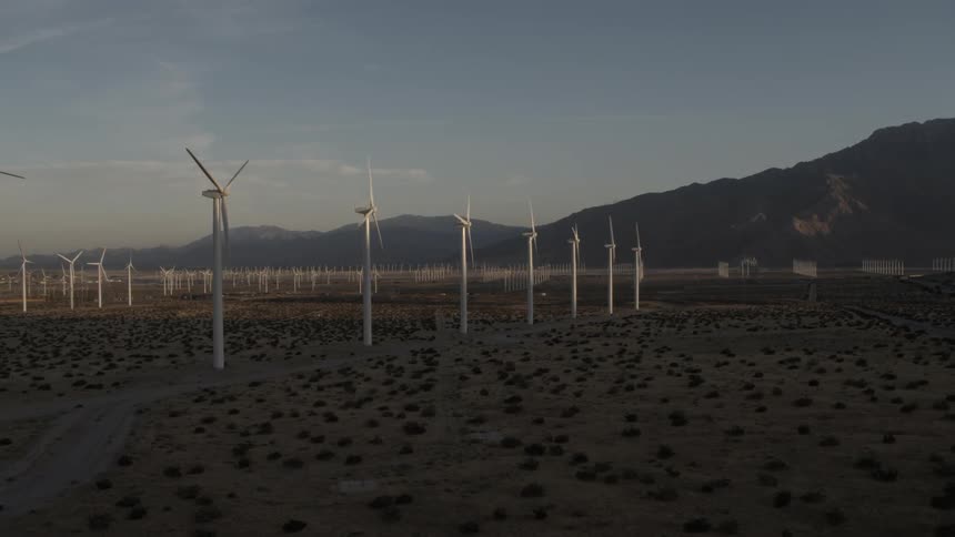 Turbines stand in rows on a wind farm
