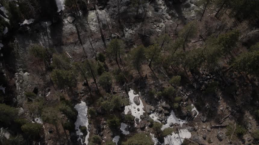 River flowing through forest with snow partially covering ground