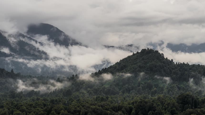 Panorama of mountains with greenish forests and a sea of low dense clouds