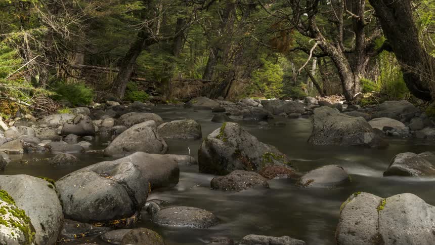 River flowing through rocks in a forest