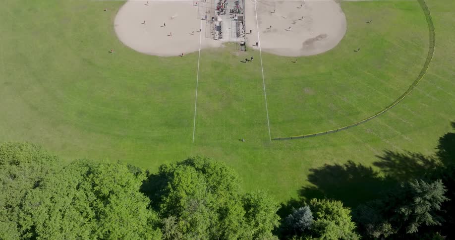 Reveal of kids playing on city park baseball fields beside a stand of tall trees
