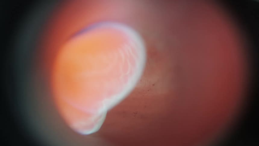 A closeup view of flames igniting inside a metallic tube