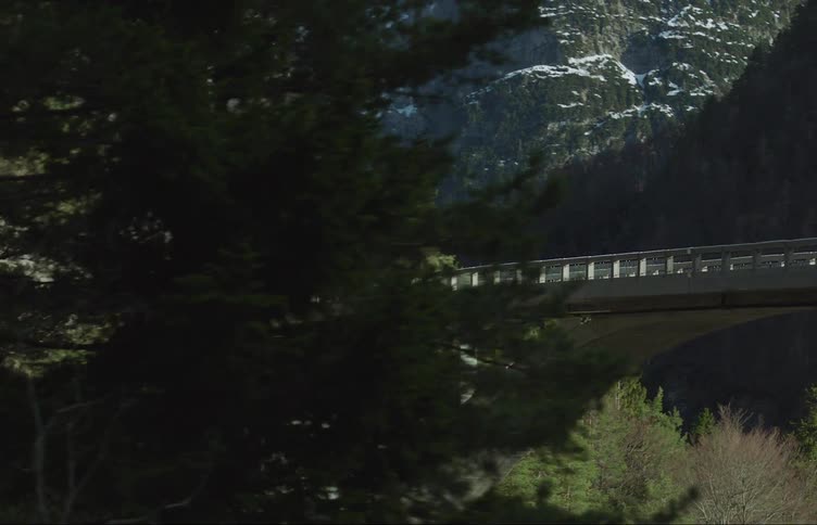 Bridge in the middle of snowy mountains with conifers around