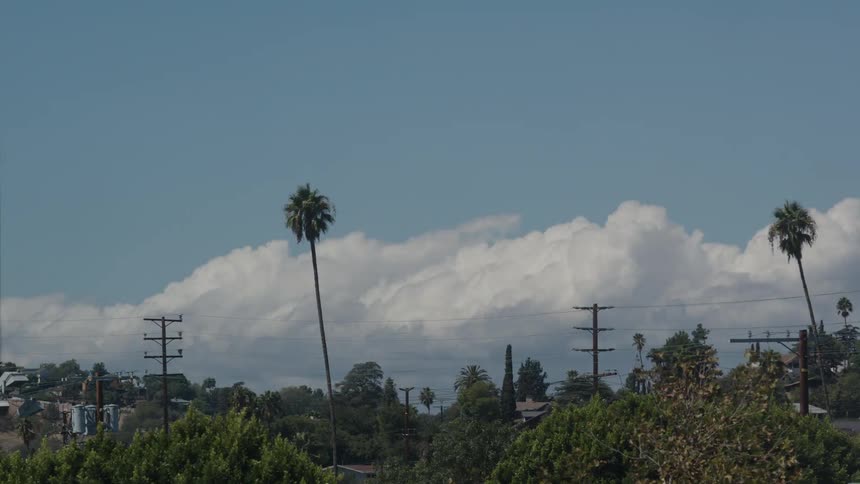 Urban landscape with power transmission lines and poles highlighted as well as trees and two palm trees in the background under a partially cloudy sky