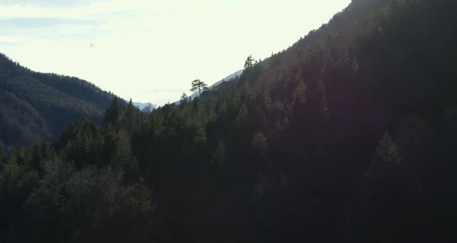 Mountain range with conifers on a cloudy day
