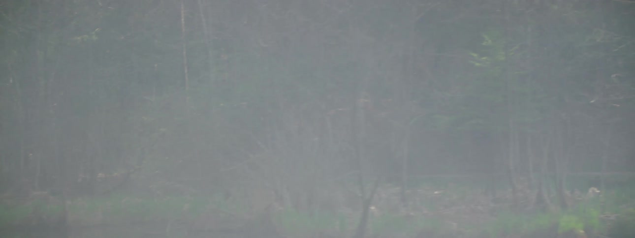 A man is mountain biking on a foggy day