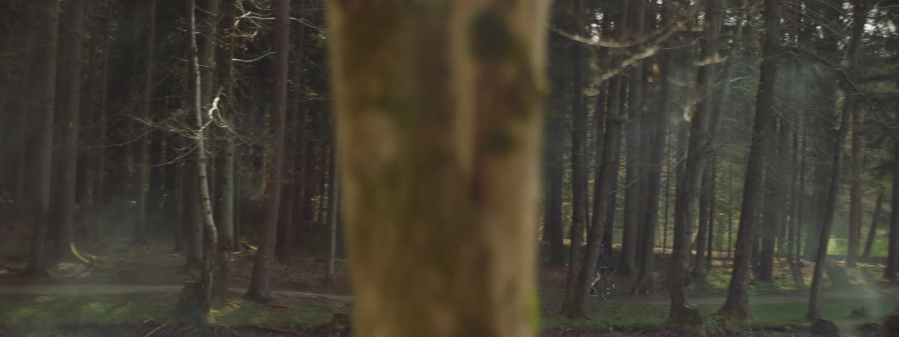 Man biking through a forest while the sun is setting