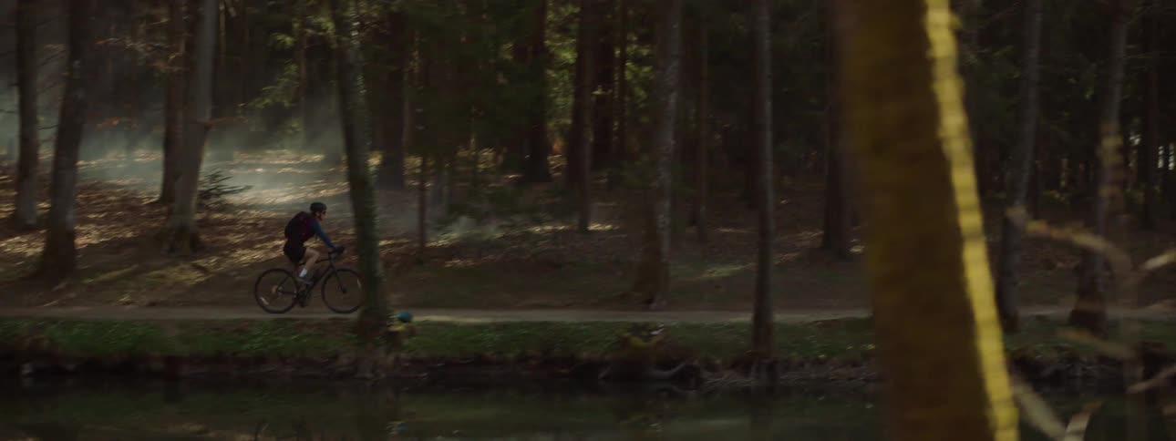 Bicyclist rides through the forest next to a lake