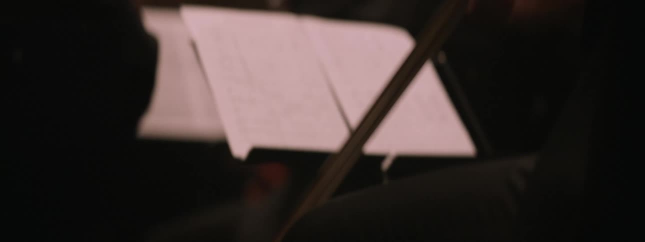 A person playing a brass musical instrument in an orchestra