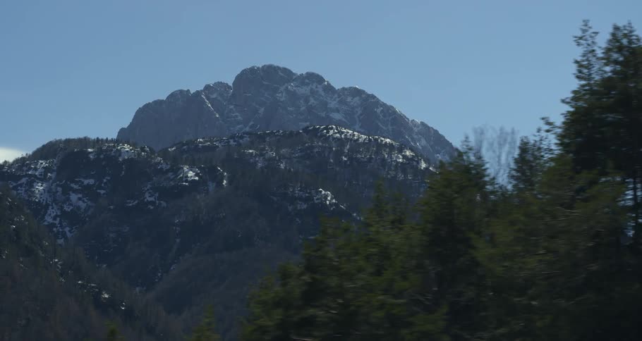 Snowy mountains landscape with conifers