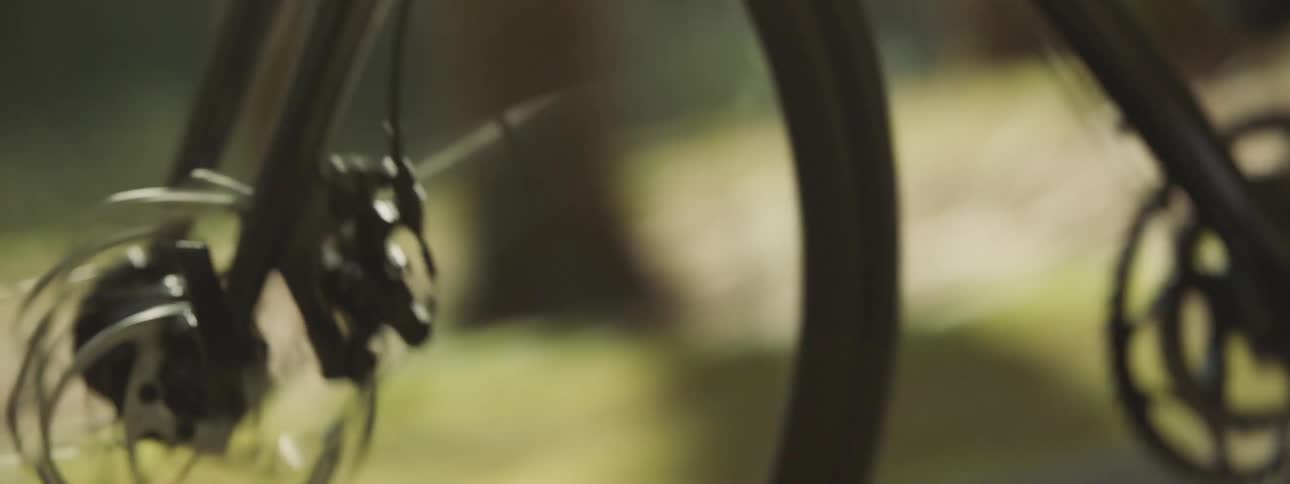 A person is riding their bicycle during the spring time