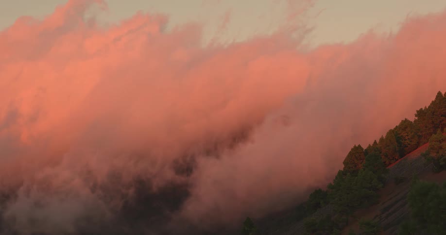 Thick pink clouds move over the forested mountainside