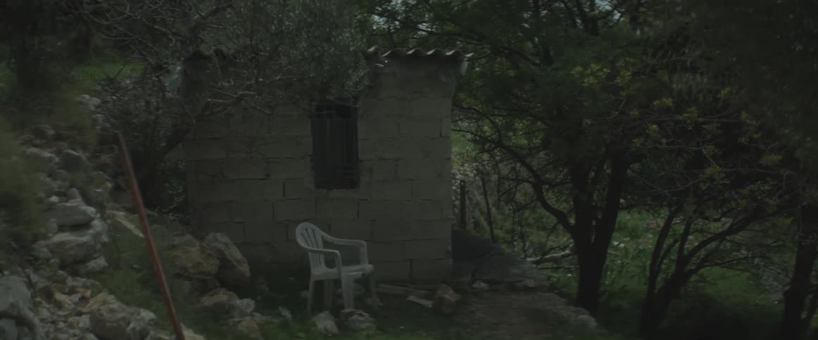 Trees surround a small building