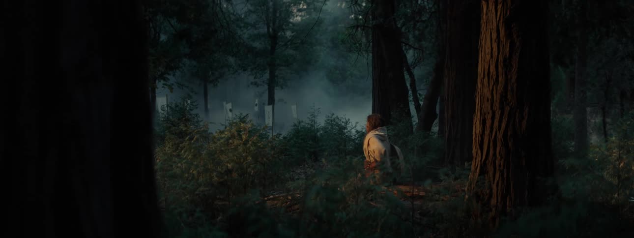 Person kneeling in the middle of a foggy forest
