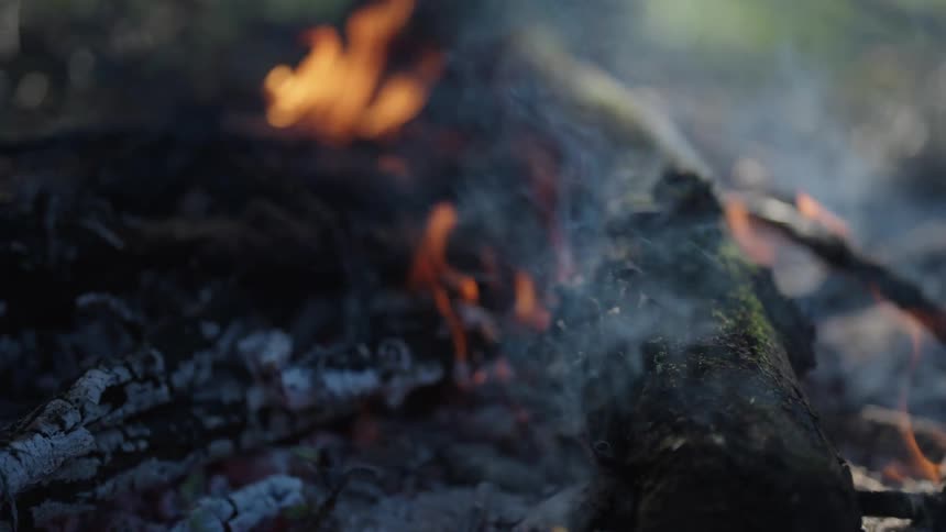 A closeup view of a wood fire with visible flames and embers among the logs
