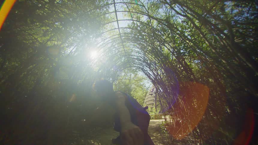 A man dances inside of a tunnel made out of trees