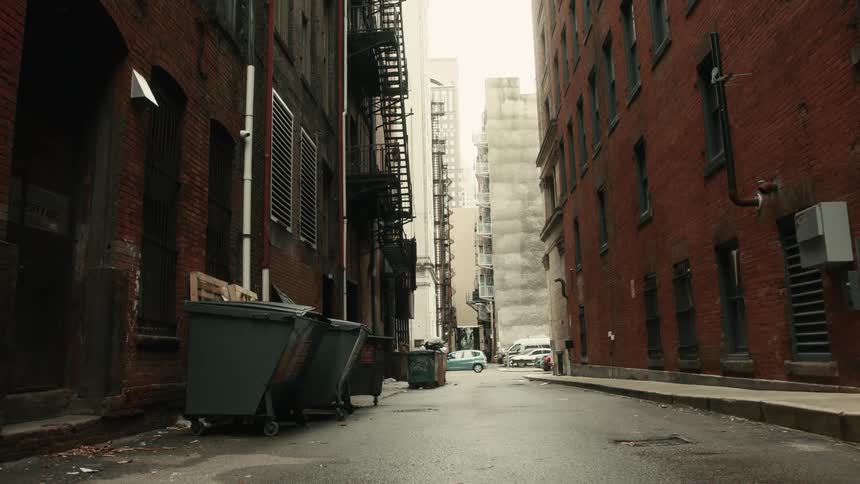Dumpsters line alley between apartment buildings