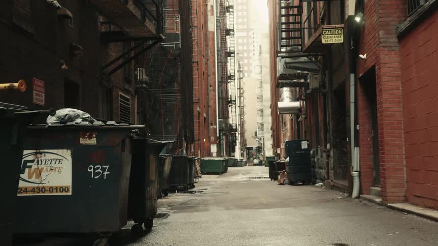 Garbage bins lined up next to apartment buildings in a city alley