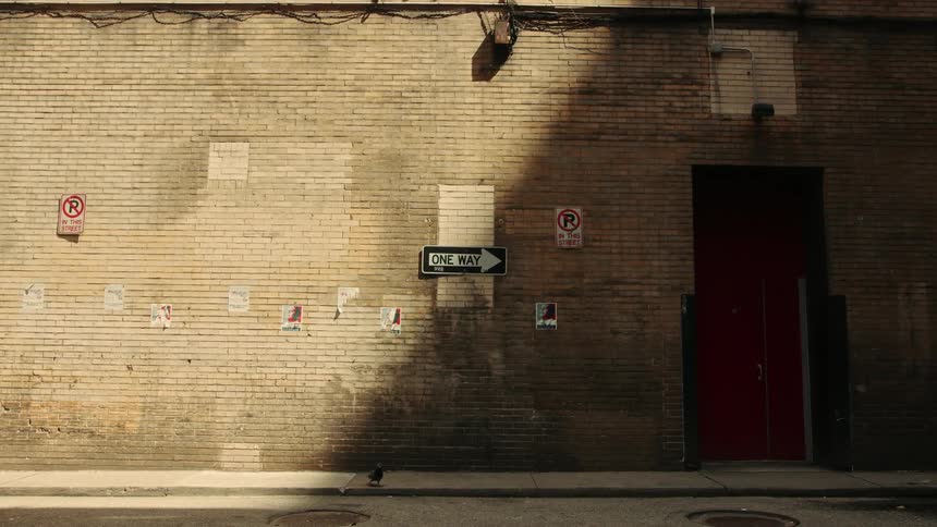 Bird walking in front of an old brick building with signs on the wall