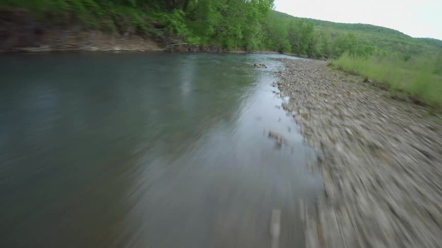 Tributary river surrounded by vegetation in a forest