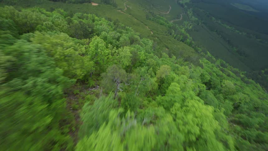 Trees grow on a mountain and give way to agricultural fields and roads and paths