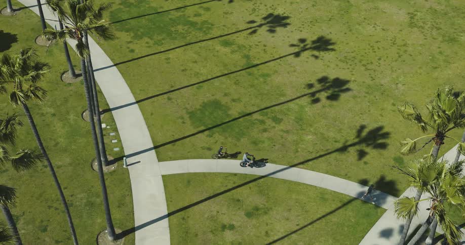 A walker and two bicyclists move over a path through a grassy area bordered by palm trees