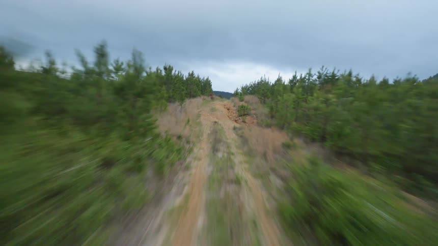 A path moves through fields of trees and then gives way to a distant forested hill in Arkansas