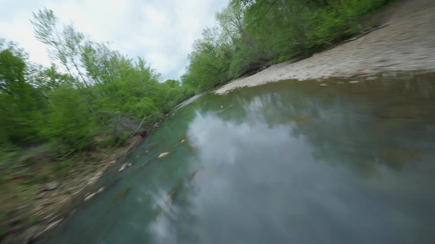 A stream running through a lush forest