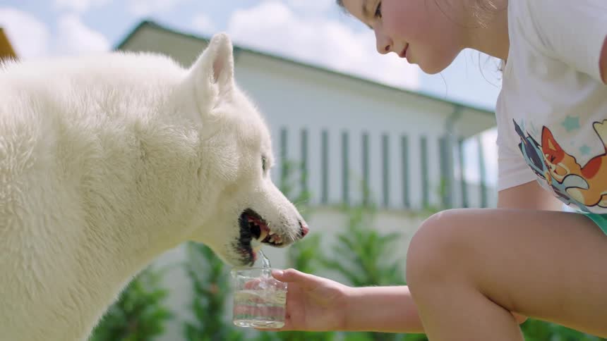 Dog drinking water from a bottle that a little girl is holding