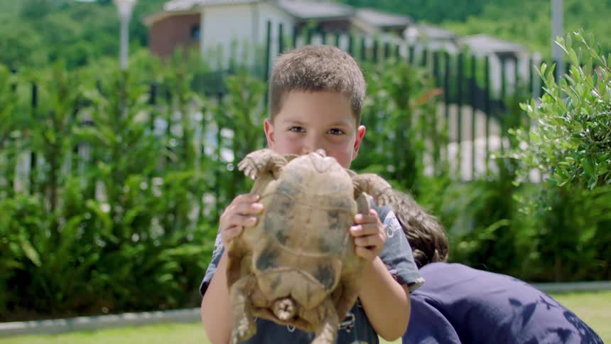 Little boy in the backyard holding a turtle