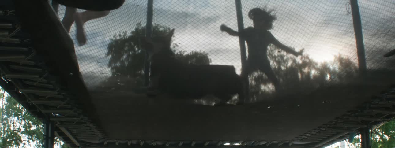A low angle view of kids jumping on a trampoline with a dog in the backyard