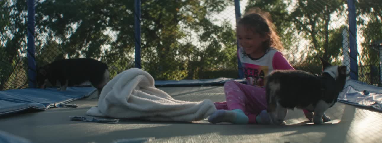 A young girl laughs as dogs walk around with them on a trampoline