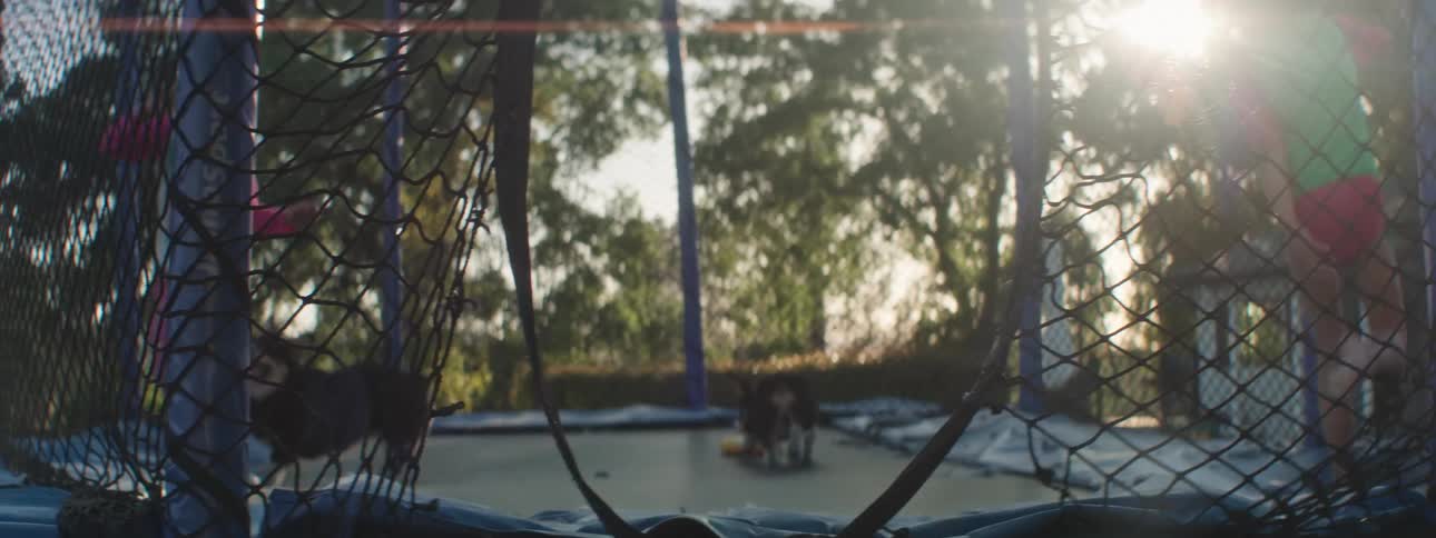 Siblings play on a trampoline in the backyard with their dogs
