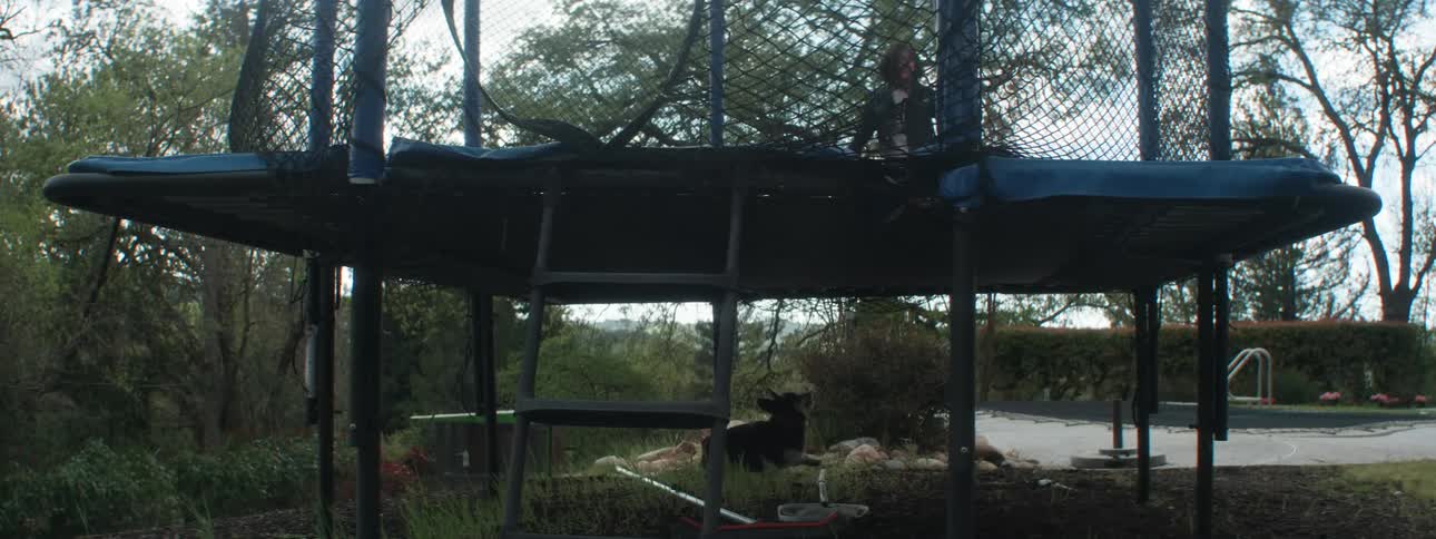 Dog running under a trampoline after a little girl who is jumping and playing in the backyard of a house