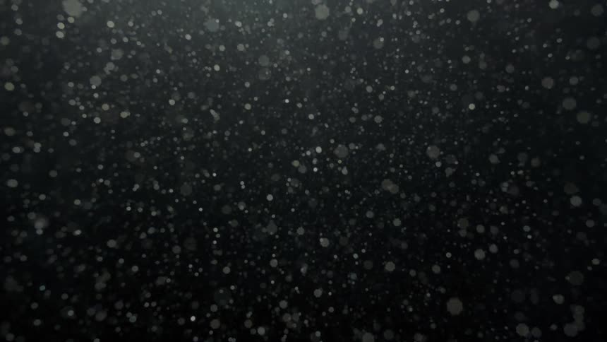 An underwater view of several white particles moving through a deep and dark bottom