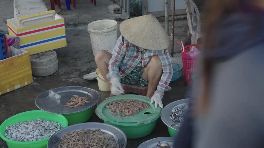 Person sitting separating fresh shrimp into bowls