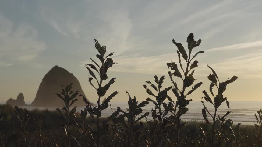Haystack rock sits off the oregon coast at dusk