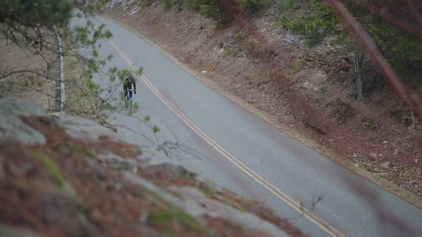 A bicyclist rides down a remote tree lined road