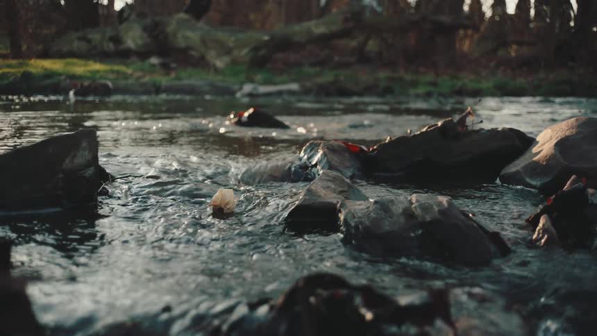 White flower running down a tributary river