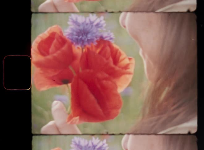 Super-8 close-up of the face of a woman smelling a small bouquet of red poppies and lilac flowers that she lifts to her nose before she enjoys the pleasant smell of nature and pollen on a warm springtime day or summer evening