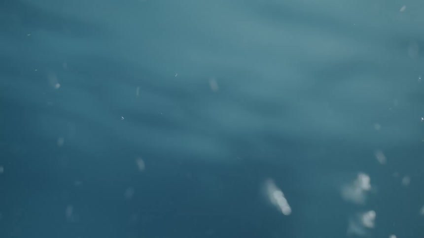 Bubbles rise in the pool