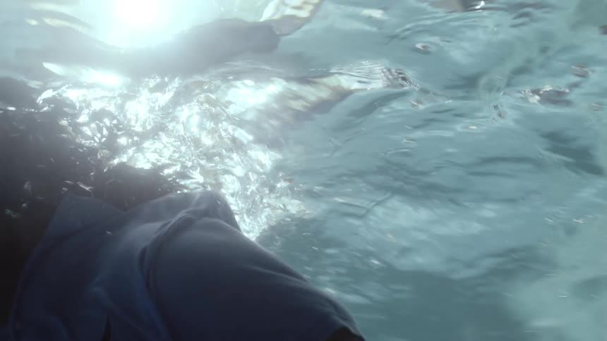 Man swimming in the pool