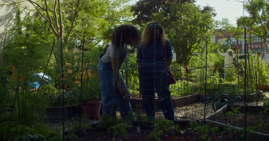 Two women walking through a group of garden plots