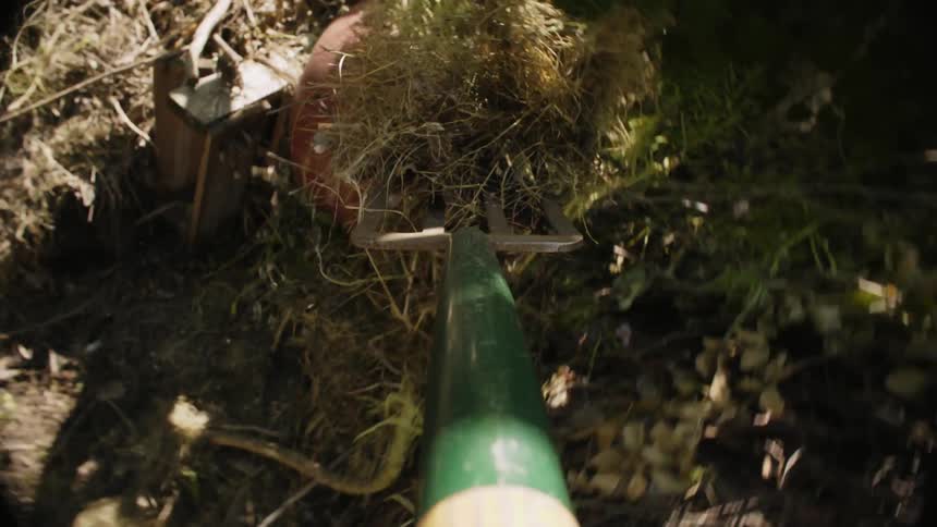 Point of view of a person using a pitchfork to pick up dry grass